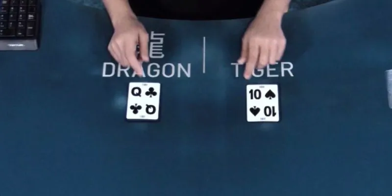 meo danh rong ho de choi meo danh rong ho de choi